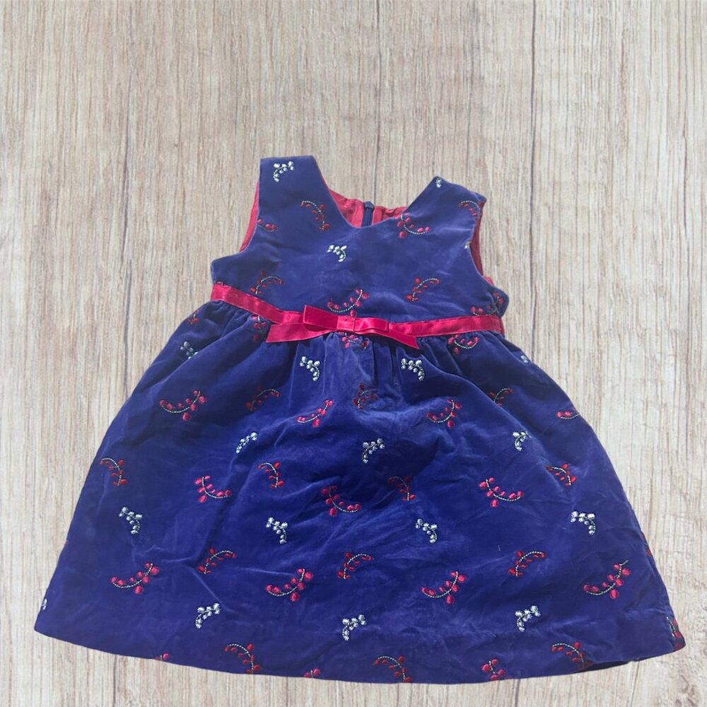 18-24m Hanna Andersson Velvet Floral Jumper Dress